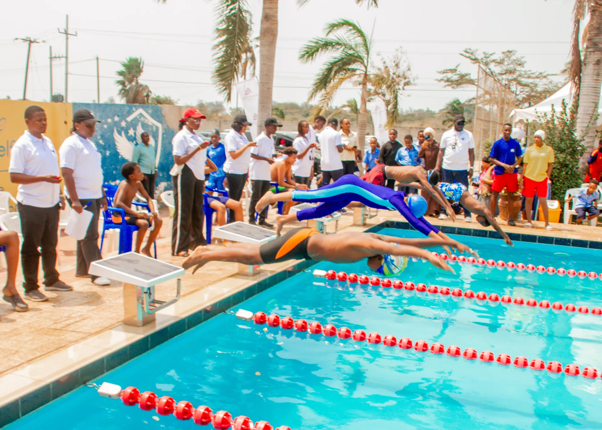 Swimmers launching from the starting blocks into the pool